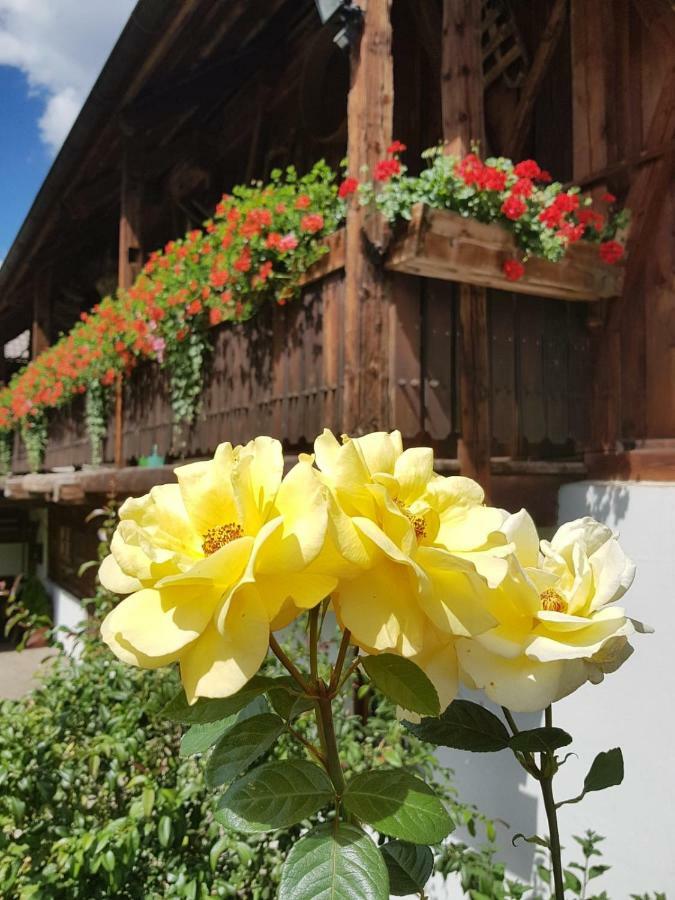 Villa Muellerhof à Anterselva di Mezzo Extérieur photo